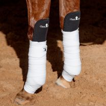 Classic Equine Knee Guard