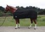 Tough Horse Turnout Sheet with 100gr Liner - Half Neck - 1680D